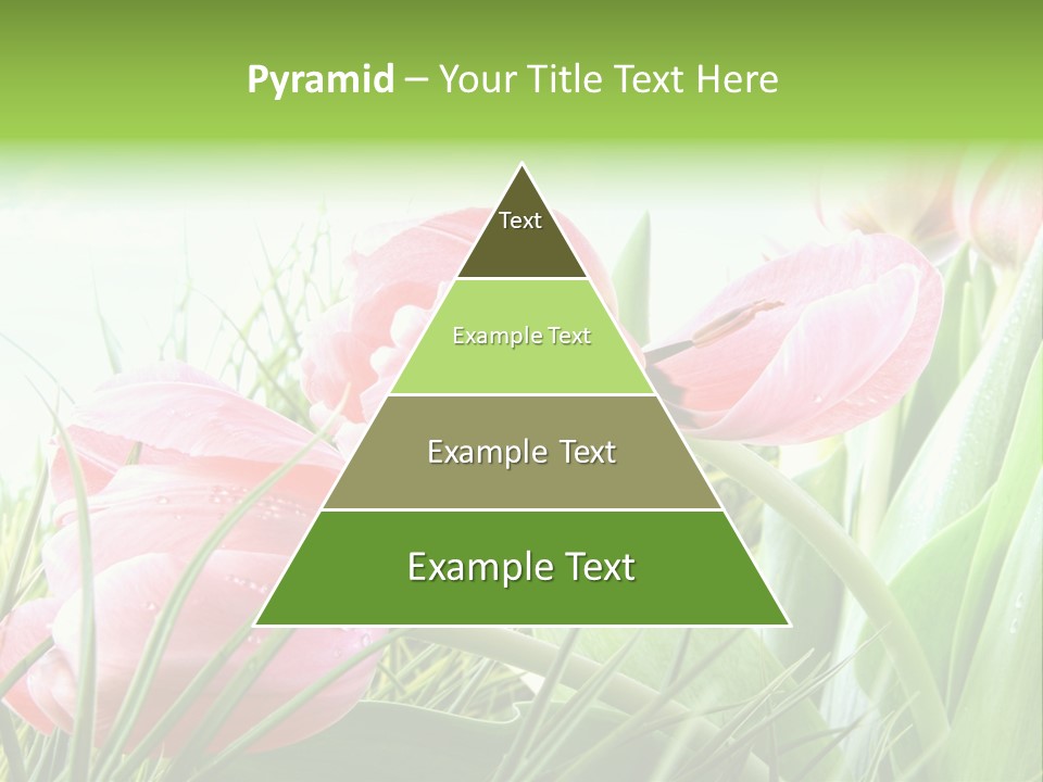 Leaf Day Colour PowerPoint Template