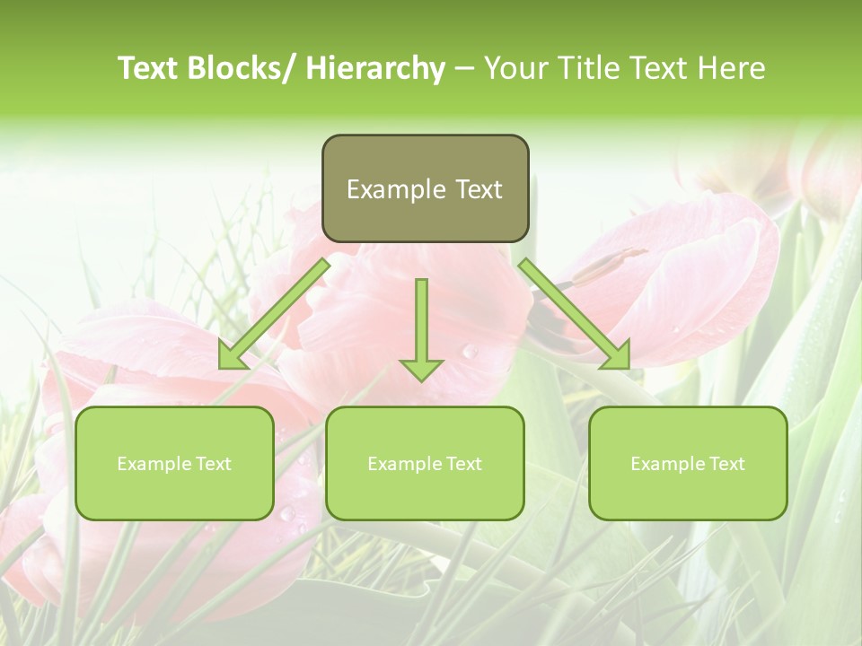 Leaf Day Colour PowerPoint Template