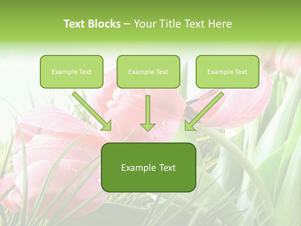 Leaf Day Colour PowerPoint Template