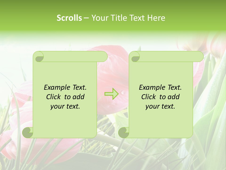 Leaf Day Colour PowerPoint Template