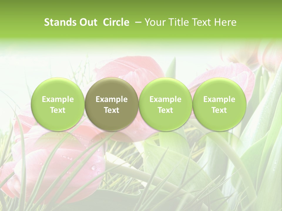 Leaf Day Colour PowerPoint Template