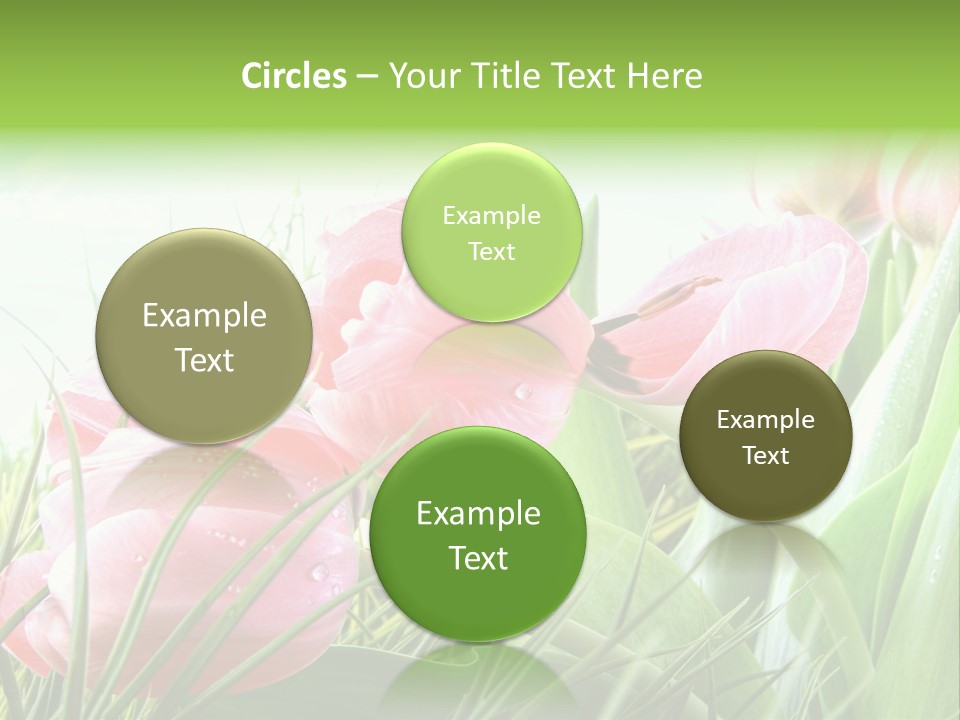 Leaf Day Colour PowerPoint Template