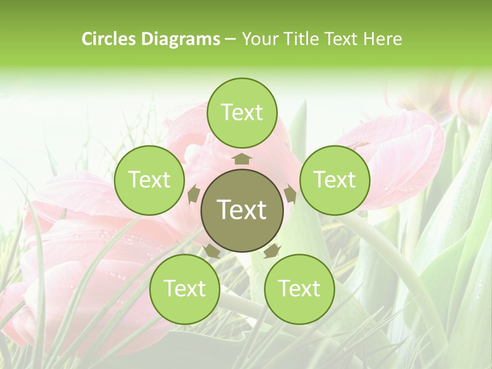 Leaf Day Colour PowerPoint Template