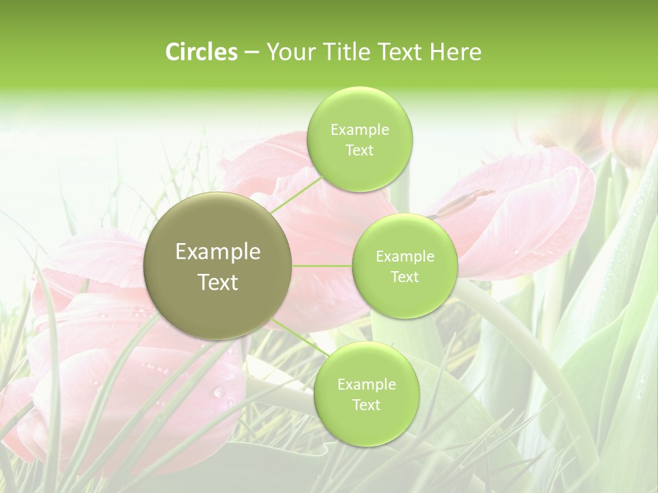 Leaf Day Colour PowerPoint Template