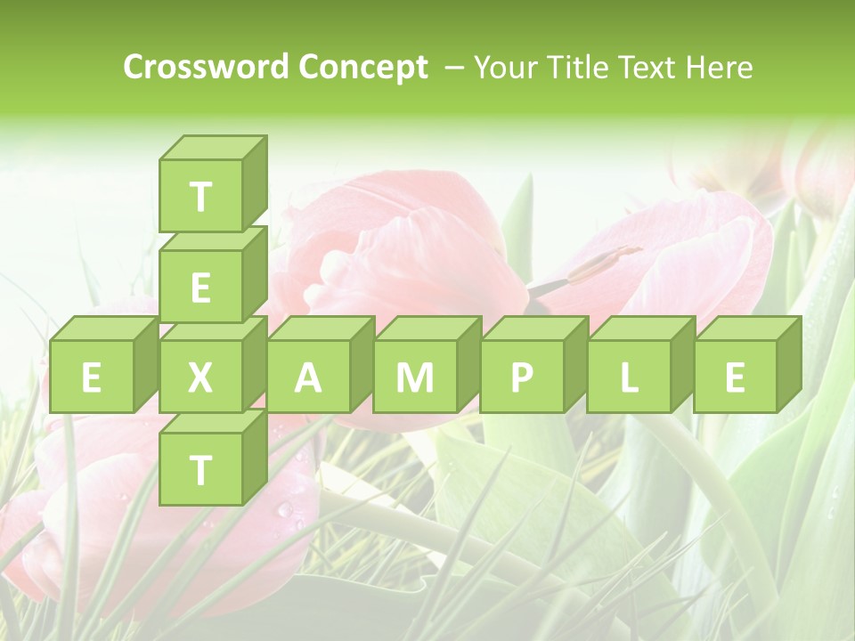 Leaf Day Colour PowerPoint Template