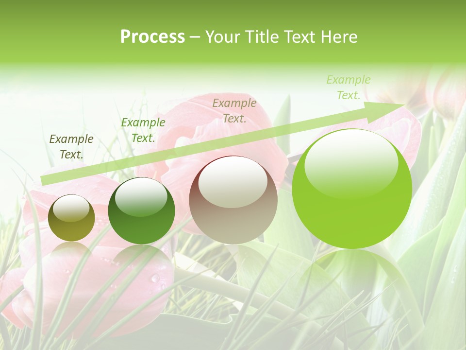 Leaf Day Colour PowerPoint Template