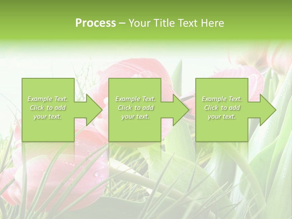 Leaf Day Colour PowerPoint Template