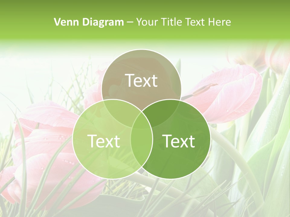 Leaf Day Colour PowerPoint Template