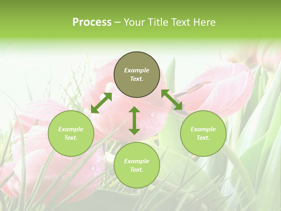 Leaf Day Colour PowerPoint Template