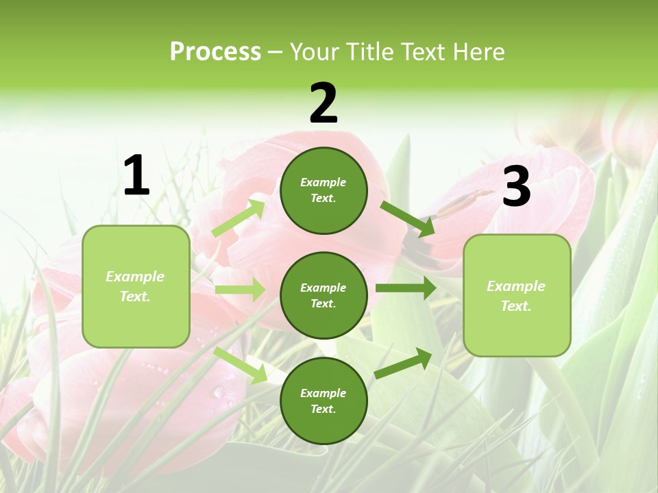 Leaf Day Colour PowerPoint Template