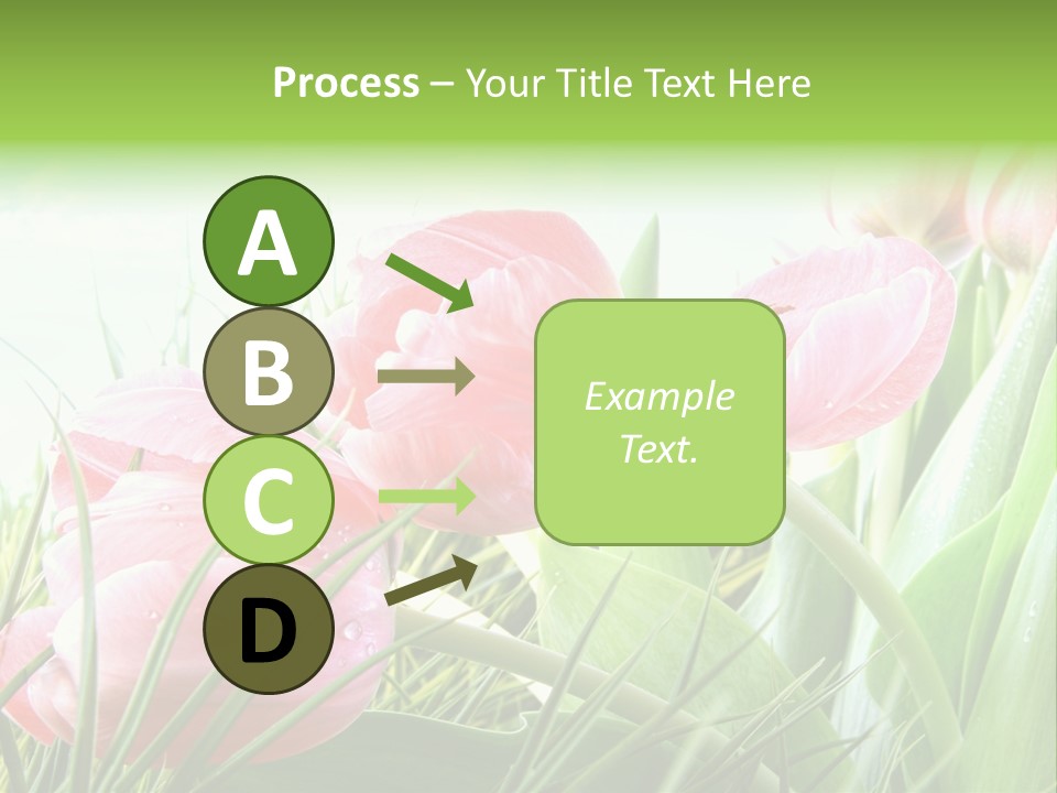 Leaf Day Colour PowerPoint Template