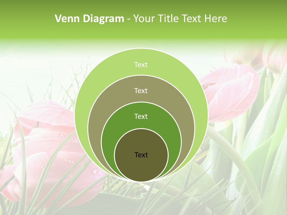 Leaf Day Colour PowerPoint Template