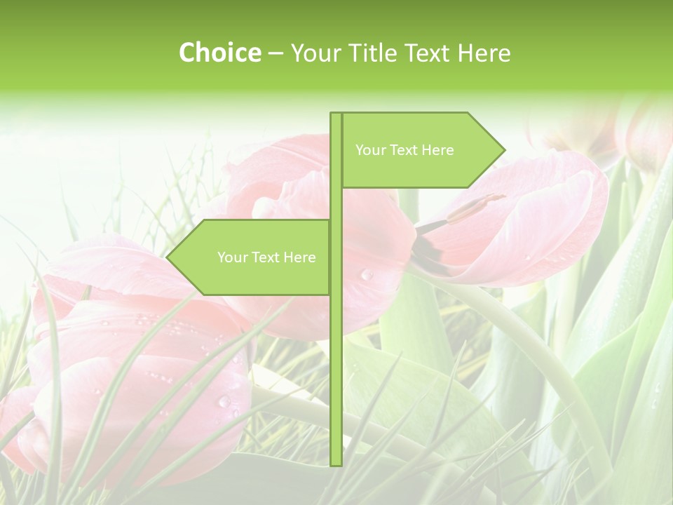 Leaf Day Colour PowerPoint Template