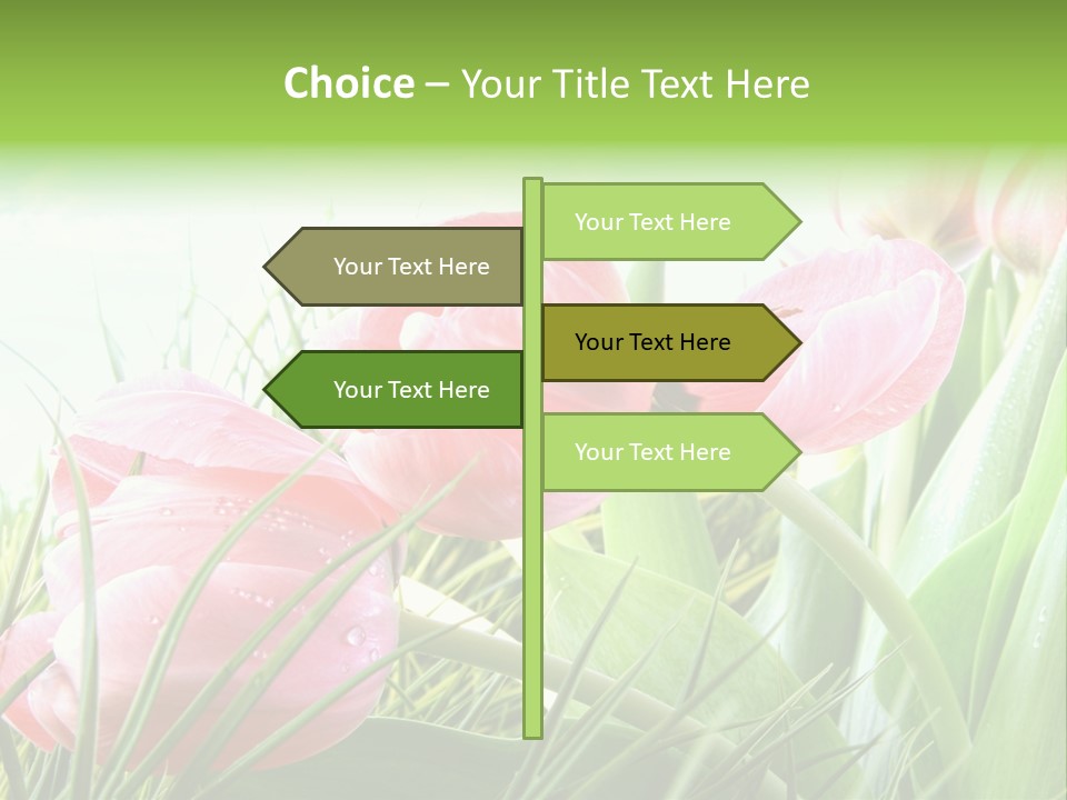 Leaf Day Colour PowerPoint Template