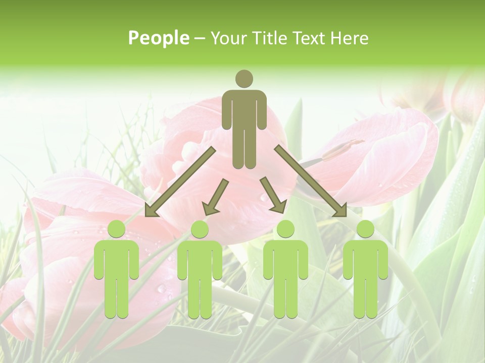 Leaf Day Colour PowerPoint Template