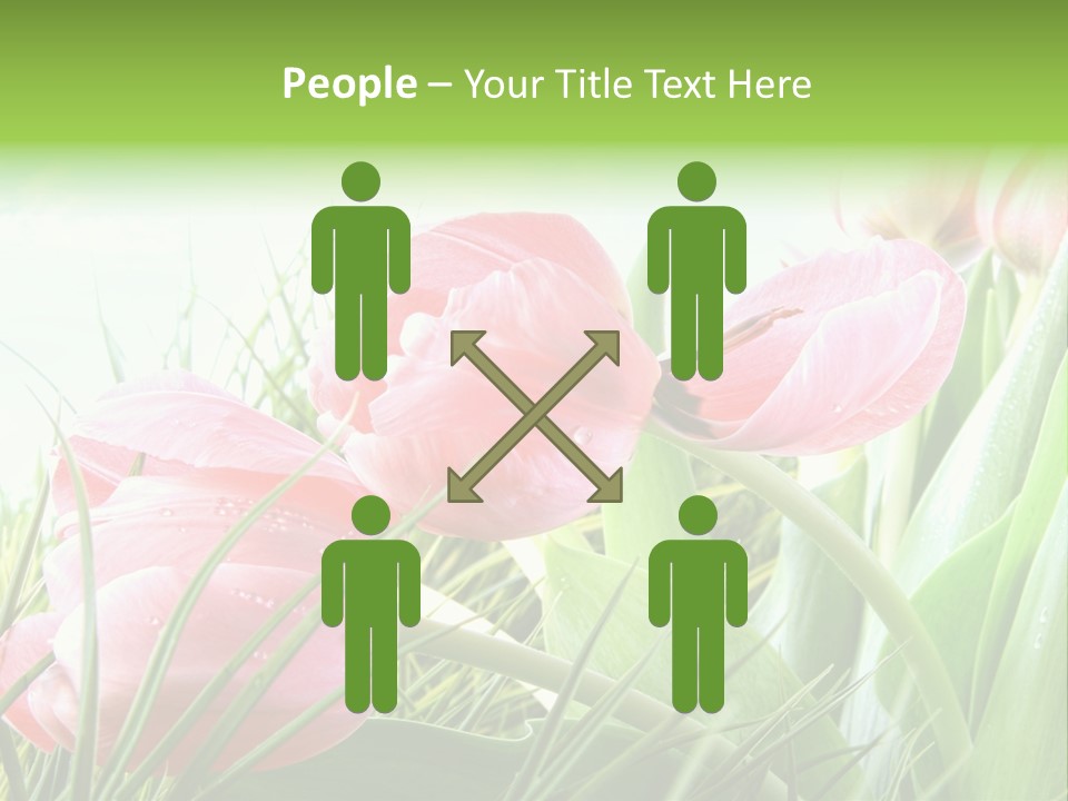 Leaf Day Colour PowerPoint Template