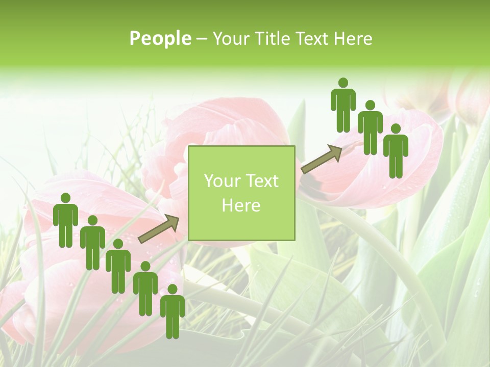 Leaf Day Colour PowerPoint Template