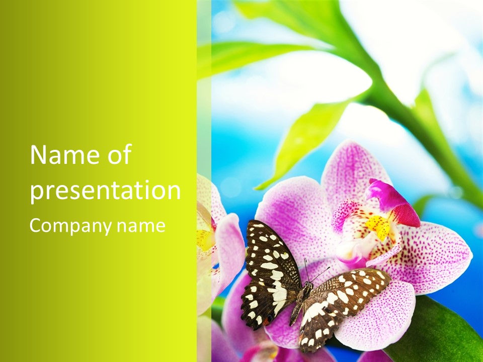 Wing Growth Environment PowerPoint Template