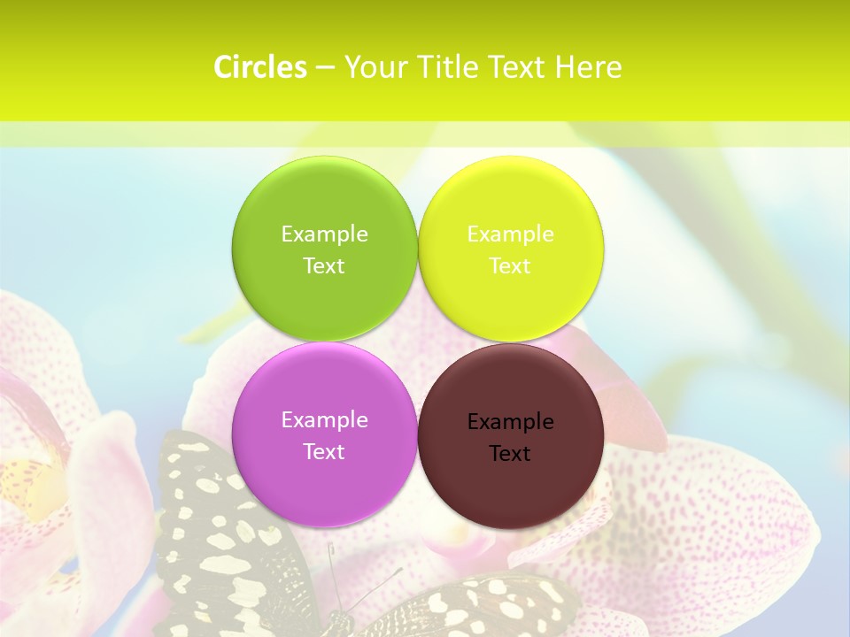 Wing Growth Environment PowerPoint Template