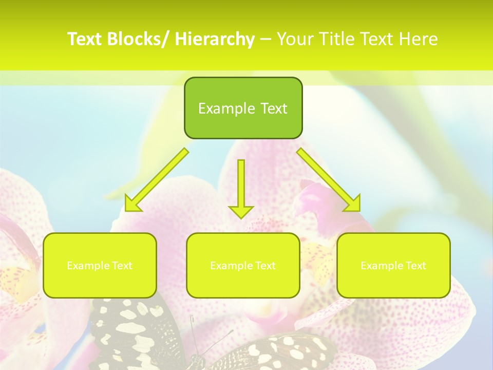 Wing Growth Environment PowerPoint Template