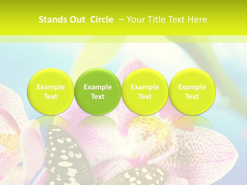 Wing Growth Environment PowerPoint Template