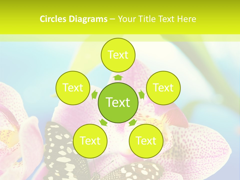 Wing Growth Environment PowerPoint Template