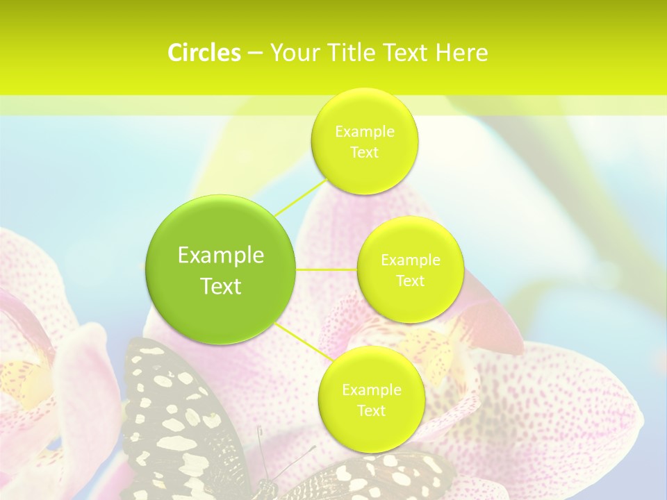 Wing Growth Environment PowerPoint Template