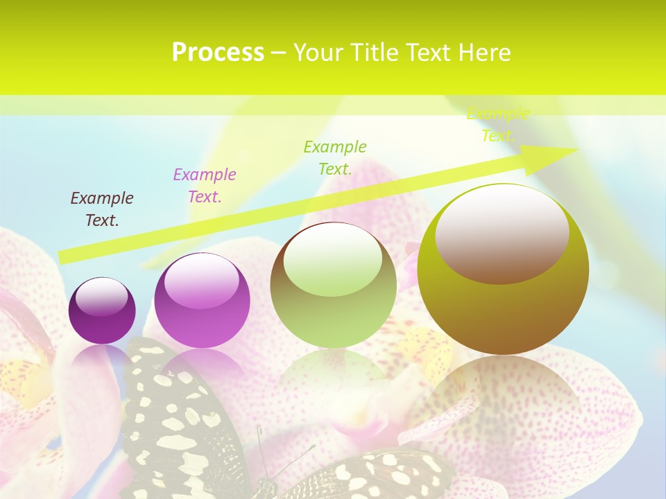Wing Growth Environment PowerPoint Template