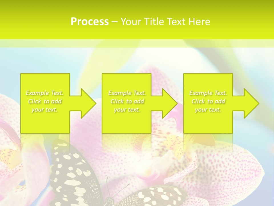 Wing Growth Environment PowerPoint Template