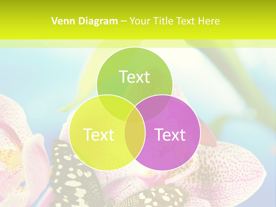 Wing Growth Environment PowerPoint Template