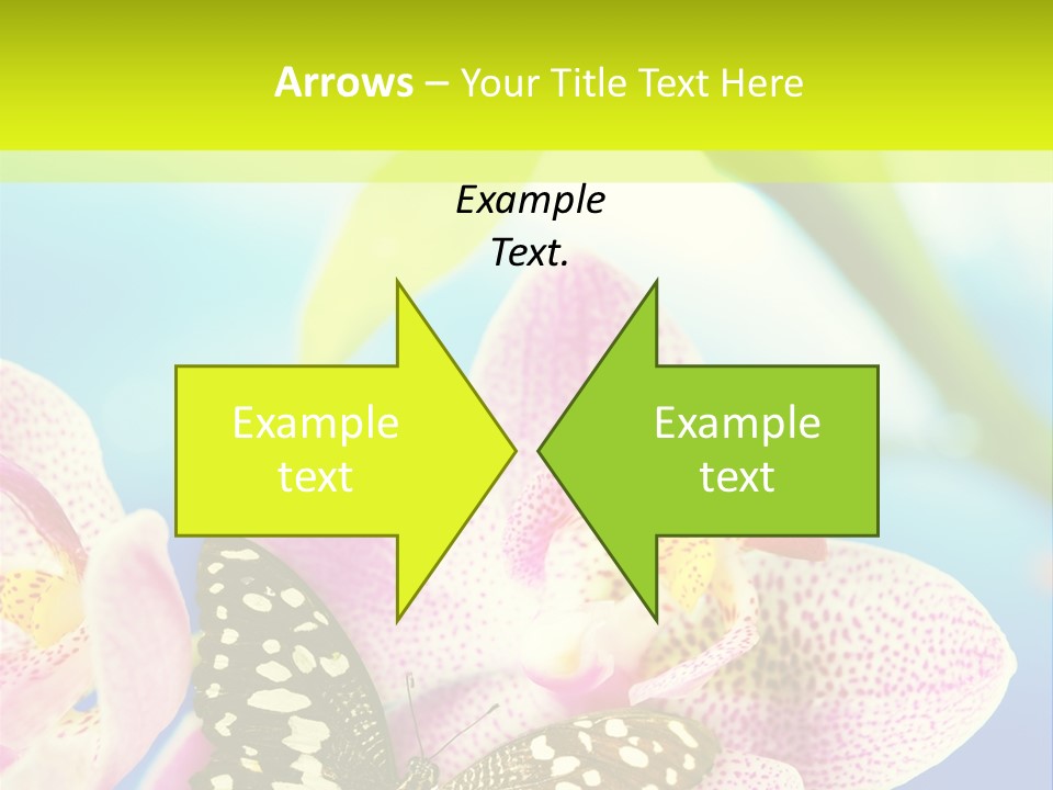Wing Growth Environment PowerPoint Template