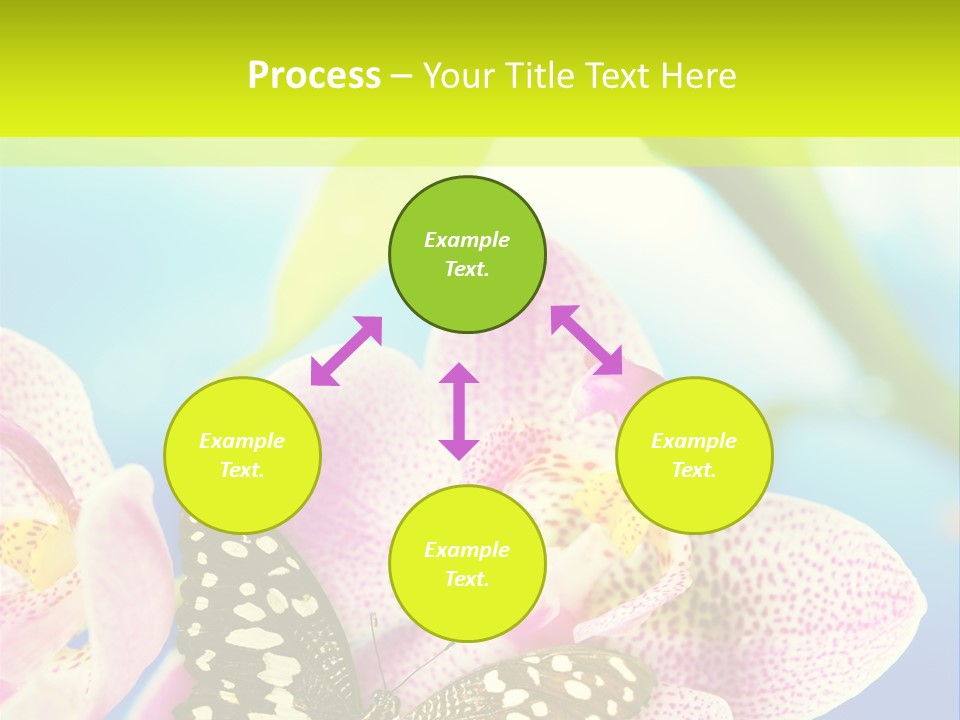 Wing Growth Environment PowerPoint Template