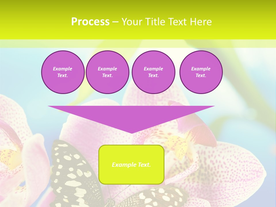 Wing Growth Environment PowerPoint Template