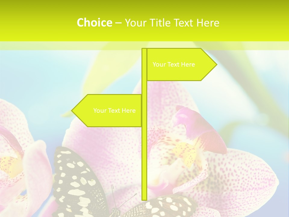 Wing Growth Environment PowerPoint Template