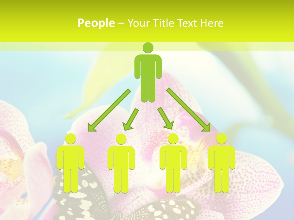 Wing Growth Environment PowerPoint Template