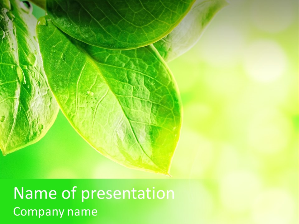 Green Foliage Close Up PowerPoint Template