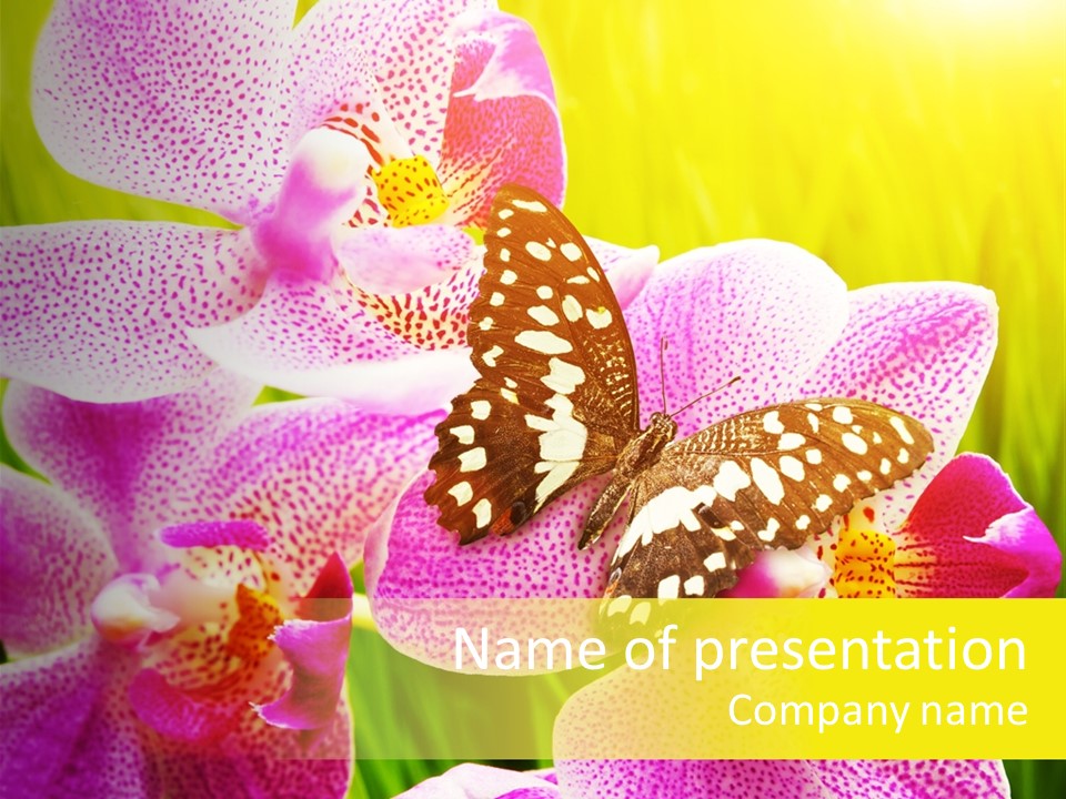 Bug Stem Nature PowerPoint Template