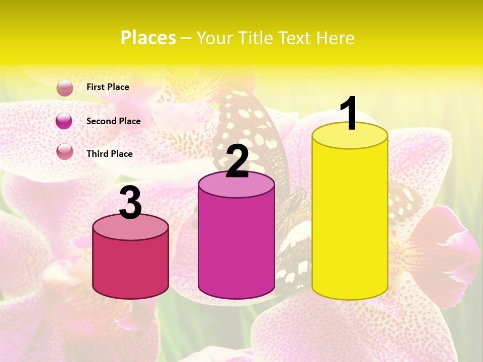 Bug Stem Nature PowerPoint Template