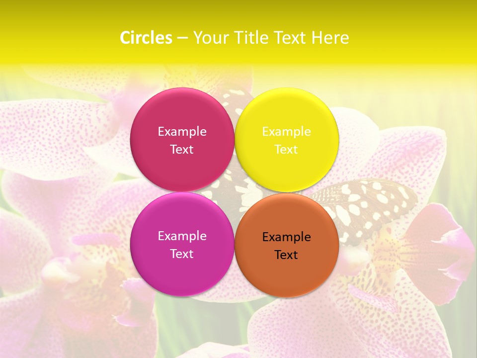Bug Stem Nature PowerPoint Template