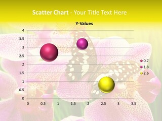 Bug Stem Nature PowerPoint Template