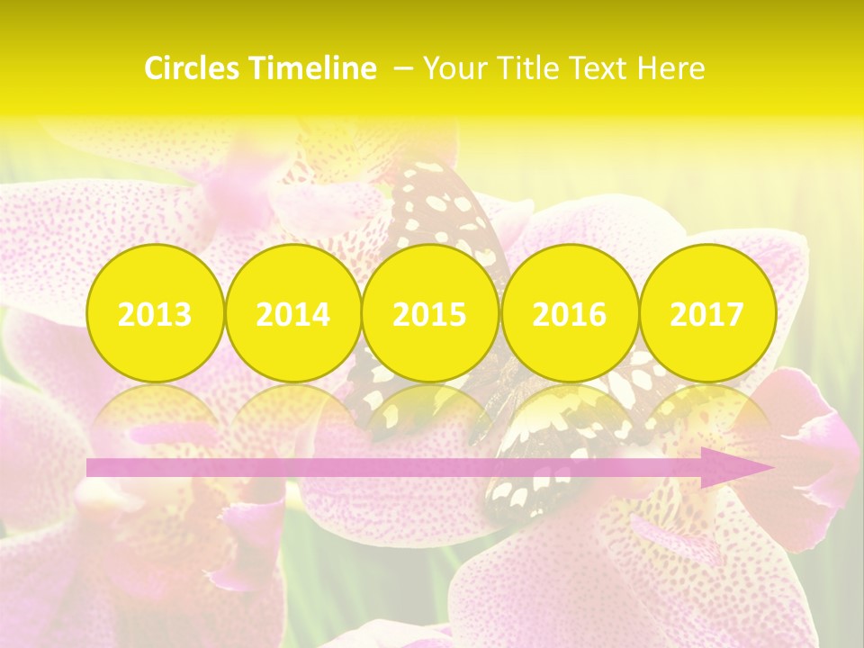 Bug Stem Nature PowerPoint Template