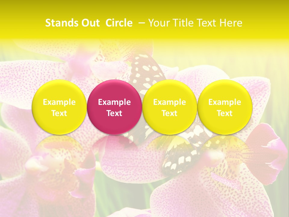 Bug Stem Nature PowerPoint Template