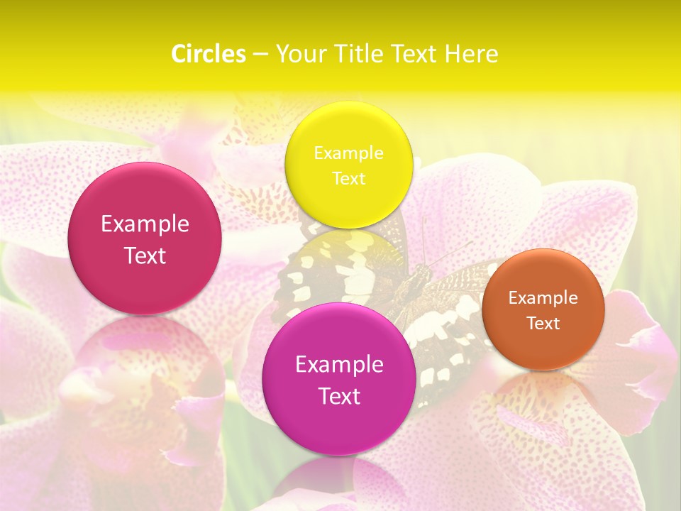 Bug Stem Nature PowerPoint Template