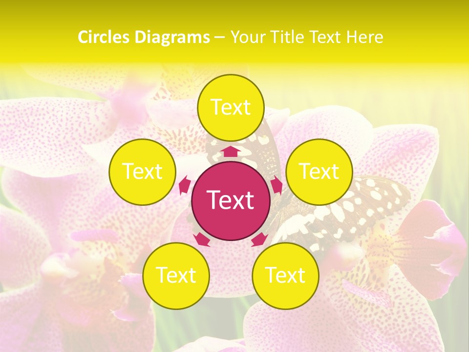 Bug Stem Nature PowerPoint Template