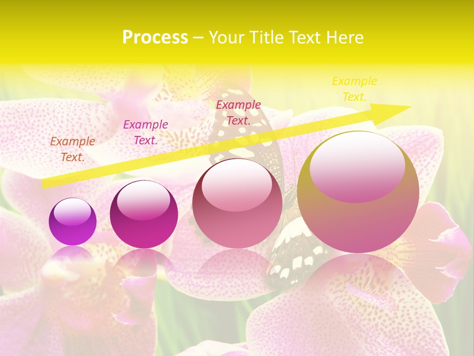 Bug Stem Nature PowerPoint Template