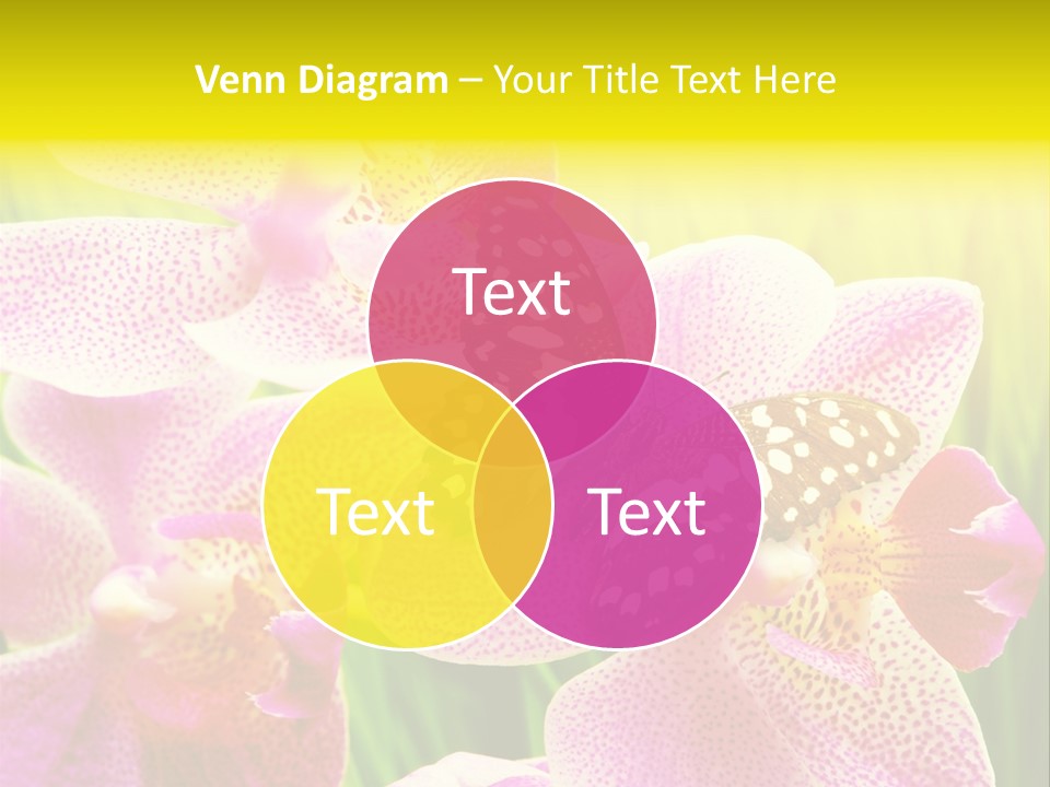 Bug Stem Nature PowerPoint Template