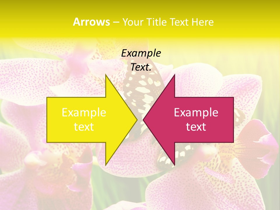 Bug Stem Nature PowerPoint Template