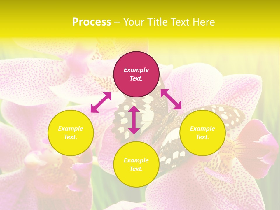 Bug Stem Nature PowerPoint Template