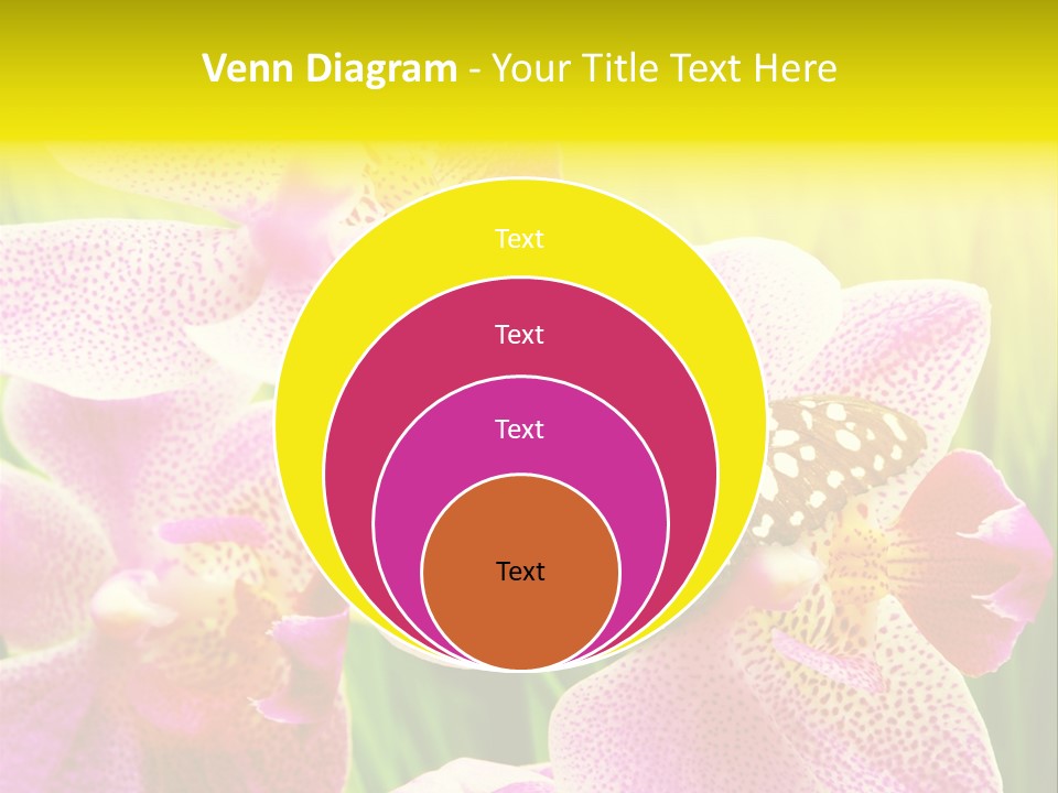 Bug Stem Nature PowerPoint Template