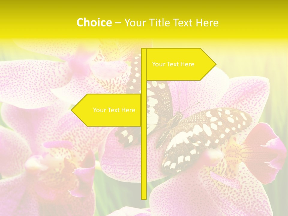 Bug Stem Nature PowerPoint Template